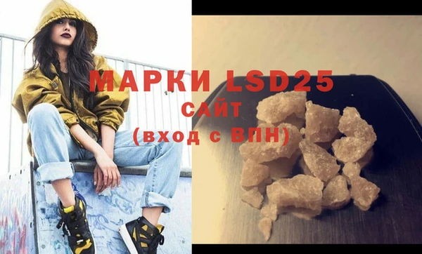 ПСИЛОЦИБИНОВЫЕ ГРИБЫ Абаза