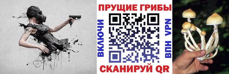 Галлюциногенные грибы MAGIC MUSHROOMS  Ливны 